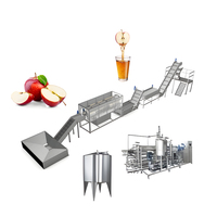 Complete sapverwerkingslijn, sapverwerkingslijn te koop, geconcentreerde fruitsapverwerkingslijn