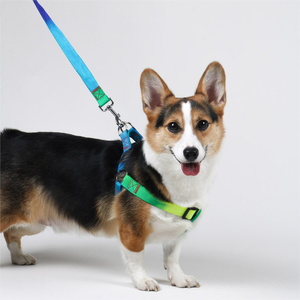 <strong>Rainbow</strong> Multi-Color Printed Nylon Pet <strong>Harness</strong> Leash Set Fashionable No-Pull Step-In Design Adjustable for Personalized - Product Image 3