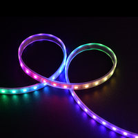 Bande LED RVBx IP20, Nouvelle Arrivée, Bande LED Numérique RVBw 24V, Garantie 5 Ans, Bleu Rouge, 5m, Bande LED Pixel RVBx
