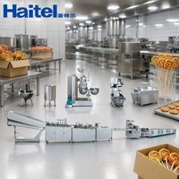 Offre Spéciale : Machine à fabriquer des bonbons à haute efficacité pour l'usine de sucettes plates arc-en-ciel