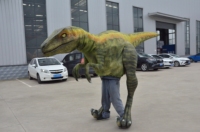 Costume de dinosaure Velociraptor réaliste de Zigong, en plastique robuste, avec jambes apparentes, tailles personnalisées, pour parcs d'aventure et aéroports