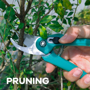 กรรไกรตัดแต่งกิ่งไม้เครื่องมือทำสวนเกษตรต้นไม้ผลไม้กิ่งไม้ผลไม้กรรไกรตัดกิ่งไม้ในบ้านสวนพร้อมที่จับ PP - Product Image 2