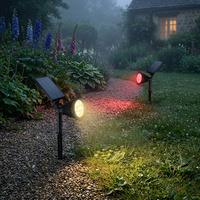 Iluminación Solar para Jardín, Luces Solares RGB para Exteriores, para Patio, Camino, Distribuidor de Marca Privada, Suministro al por Mayor