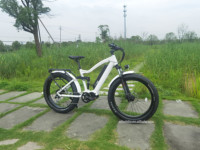 Vélo hybride électrique haute puissance 8 vitesses à Suspension complète, 1000w Bafang M620 vélo à entraînement central pour la chasse