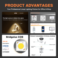 Spot LED d'intérieur OEM ODM, couleur argent et design moderne, spots LED COB Bridgelux pour centre commercial ou supermarché