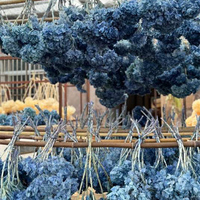 Bunga Dekorasi kerajinan tangan DIY kering diawetkan kepala hydrangea atau batang pohon pagoda Anna Hydrangea