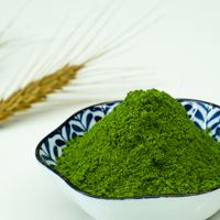 Poudre de menthe naturelle pour boissons et confiseries