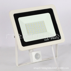 <b>Led</b> Flood <b>Light</b> 50W Ip66 Cob Chip Wall Mount With <b>Motion</b> <b>Sensor</b> Outdoor Lighting - Product Image 1