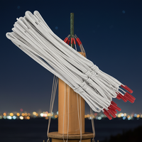 Allumeur électrique à fil blanc de 1 m avec capuchon rouge et effet d'étincelle pour les spectacles de feux d'artifice de Noël, d'Halloween, de mariage et du Nouvel An chinois