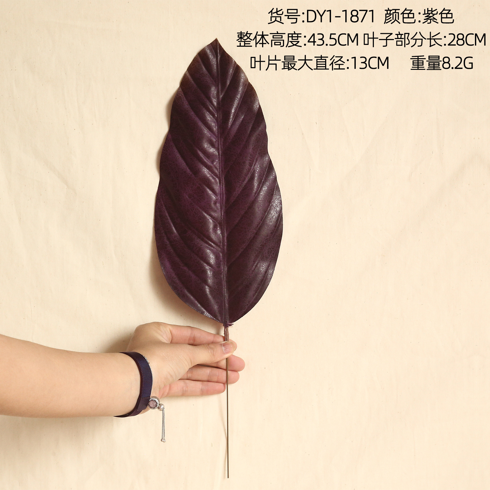 DY1-1871 Violet