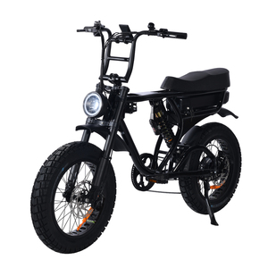 Vélo électrique tout-terrain <span class=keywords><strong>1000W</strong></span> à double <span class=keywords><strong>moteur</strong></span> 52V 20 pouces avec pneus larges, suspension intégrale et frein hydraulique à 4 pistons pour adultes - Product Image 1