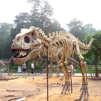 Réplique artificielle de dinosaure géant grandeur nature de qualité musée