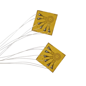 깜짝 도매 박막 가격 압전 120 옴 CG 스트레인 게이지형 센서 콘크리트 스트레인 게이지 센서 앰프 - Product Image 1