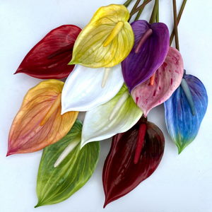 Dekorasi bunga Anthurium besar berdiameter 14cm, Sempervivum batang panjang PU, dan tanaman palem hijau untuk pernikahan dan rumah