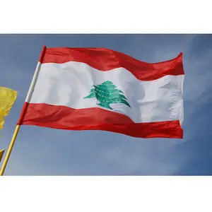 Vente en gros 100% Polyester 3x5ft 90x150cm Stock Imprimé LB Liban Liban Drapeau National