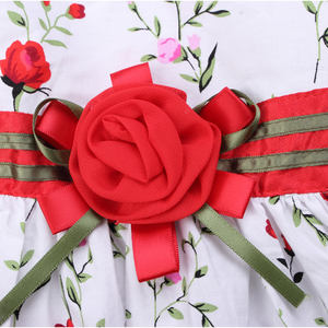 Compra Directa en China, Vestidos Coreanos con Estampados Florales Encantadores para Niñas, con Envío Gratuito - Product Image 4