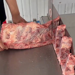 Hot-bán thương mại xương máy cắt cho butcher cửa hàng Điều kiện Mới ODM/OEM hỗ trợ - Product Image 4