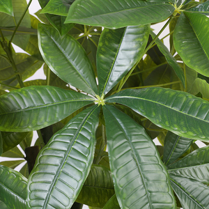 Lớn trong nhà nhân tạo nhựa màu xanh lá cây Fortune thực vật nhân tạo may mắn bện pachira tiền cây - Product Image 6