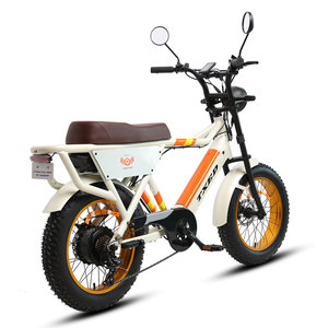 TXED nuevo modelo bicicleta eléctrica 1000W motocicleta eléctrica E bicicleta con 2 baterías - Product Image 2