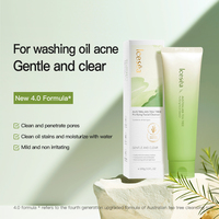 Nettoyant Purifiant et Raffermissant à l'Huile d'Arbre à Thé avec Logo Personnalisé, Nettoyage en Profondeur des Pores, Équilibrant l'Huile, Lavage Doux du Visage, OEM 100g