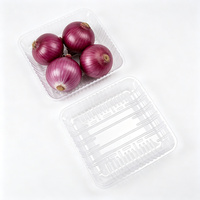 Grote, transparante PET plastic productenbak, vierkant, voor fruit, groenten en salades, geschikt voor supermarkten