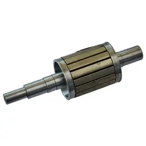 Hot Selling Billiger Stahl wellen material Generator Neodym Magnet rotor