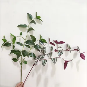 ต้นไม้ประดิษฐ์แบ<span class=keywords><strong>บ</strong></span>สัมผัสเหมือนจริง ขนาดนิ้ว <span class=keywords><strong>ใบไม้</strong></span>ปลอมแ<span class=keywords><strong>บ</strong></span><span class=keywords><strong>บ</strong></span>กิ่งก้าน ต้นโอ้โมประดิษฐ์ สำหรับตกแต่ง<span class=keywords><strong>บ</strong></span>้าน - Product Image 4