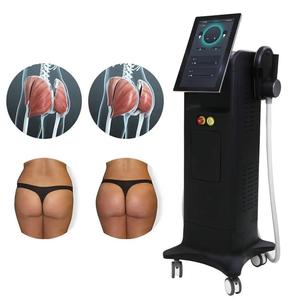 एड्स शरीर को आकार देने वाली स्लिमिंग मशीन-निर्माण मांसपेशी उत्तेजक वसा जलने वाली तकनीक का सामना हाथ उपचार 2/4 हैंडल - Product Image 2