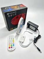 Bande LED RGB 5050 DC12V 30 LED/m Flexible à Changement de Couleur sur PCB, Longueur 100m, Contrôle Wi-Fi/IP33, Éclairage Intérieur