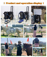 Chevaux PEMF Thérapie Equine Magnétique Physiothérapie Machine Haute Intensité 6000Gauss