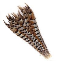 Vente directe d'usine Reeves plumes de faisan grand 35-40CM carnaval casque artisanat motif brut Table déco Costume
