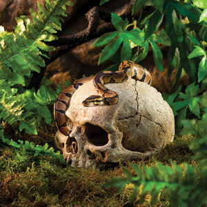 Cachette de grotte de crâne de reptile carrée en plastique écologique pour lézards serpents geckos boîte tortues aquarium aquariums accessoires - Product Image 3