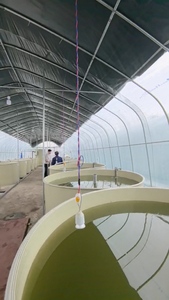 PP efficace recirculant les bases d'équipement de pisciculture de système d'aquaculture pour la pisciculture d'intérieur - Product Image 5