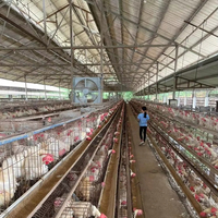 Granges et hangars à structure en acier pour bovins, porcs, poulets, moutons, élevage de chevaux, bâtiments agricoles durables