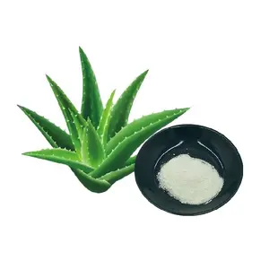 Factory Supply Pure Natural Aloe Vera Extract Powder 50% 95% Aloe Emodin