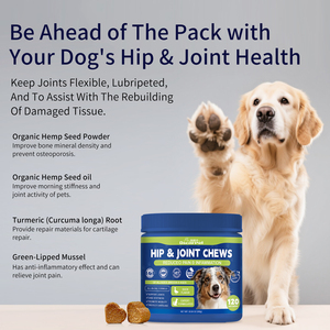 Suplemento para Cadera y Articulaciones al por Mayor de Fábrica, Apoya la Salud de las Articulaciones, Mantiene la Lubricación de las Articulaciones - Product Image 5
