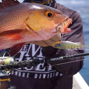 <span class=keywords><strong>Esche</strong></span> Morbide da Pesca in TPE con Vibrazione, 10 Colori, 110mm, 30g, Rinforzate con Filo Metallico - Product Image 3