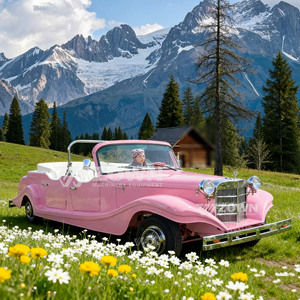 Voiture électrique de tourisme rétro vintage à coussinets souples de qualité supérieure, navette écologique pour le transfert des invités du club de campagne - Product Image 5