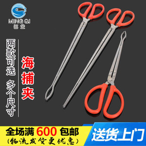 Pinzas de boca recta para pesca de anguila y cangrejo, 30cm, 38cm, 52cm, 62cm, para acuicultura, pesca y exploración de la playa - Product Image 5