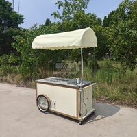 Chariot de vente ambulante vintage personnalisé pour glaces, avec évier et auvent