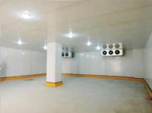 Grote Koude Opslag Project Bouw Hoge Kwaliteit Bevroren Koude Opslag/Koude Ruimte Voor Vlees En Vis - Product Image 4
