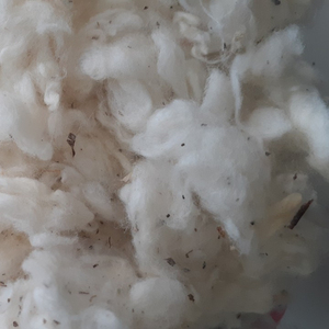 Tiras Planas de Algodón Lickerin A y B, Fabricadas en Vietnam para Hilanderías, con Buen Precio (Ms. Xavia +84 333371330) - Product Image 1