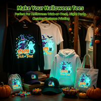 Feuille de film DTF luminescent Fcolor pour Halloween, film de transfert thermique PET pour impression DIY sur T-shirt
