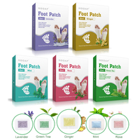 Patchs Détoxifiants pour les Pieds au Gingembre et à l'Armoise Naturels, Certifiés CE, pour le Soin Corporel et des Pieds