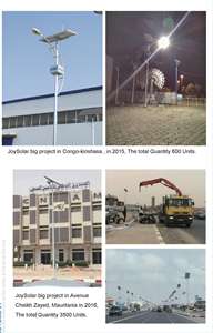 Pali per Illuminazione Stradale Solare a Doppio Braccio in Acciaio 8m 10m 12m con Disegni Tecnici - Product Image 5