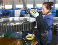 Reductor de Giro SE17 Personalizado Directo de Fábrica, 10kN.m, de Alta Resistencia, con Servicio OEM para Equipos Industriales