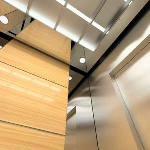 Ascensor Residencial Personalizado en Oferta, Elevador Hidráulico Tipo Cápsula con Accionamiento Silencioso AC y Piso de PVC de Lujo - Product Image 1