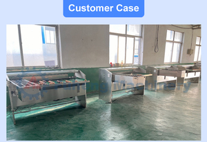 <span class=keywords><strong>เครื่อง</strong></span>คัดแยกไข่อัตโนมัติสแตนเลส 20,000 ฟองต่อชั่วโมง <span class=keywords><strong>เครื่อง</strong></span>คัดแยกไข่สำหรับคัดแยก ล้าง และบรรจุ - Product Image 6