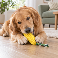 Jouet à mâcher interactif pour chien en TPR texturé, durable et écologique, avec corde en coton, pour le soin dentaire, vente en gros OEM/ODM