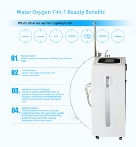 Injecteur d'eau et d'oxygène multifonctionnel pour le rajeunissement de la peau, le nettoyage des pores, appareil de soin du visage pour salon et usage domestique - Product Image 4